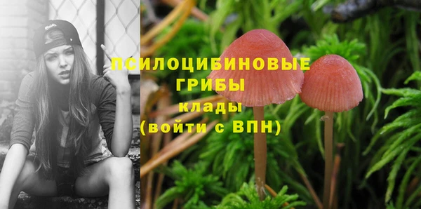 бутират Алзамай