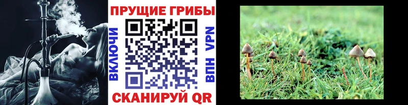 наркота  кракен ссылки  Галлюциногенные грибы прущие грибы  Долинск 